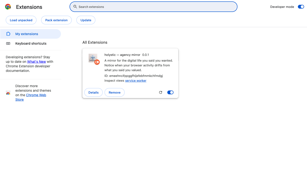 Chrome extensions page showing the holystic extension installed and enabled.